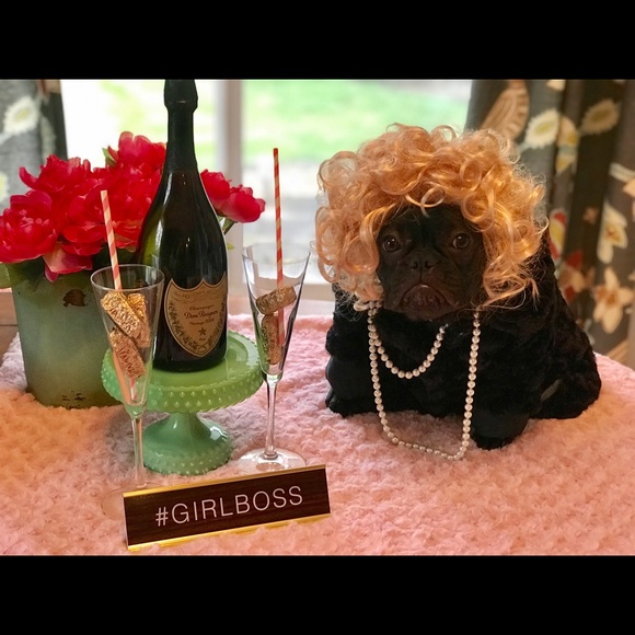 Meet your Posher, Trilby - Picture 6 of 8